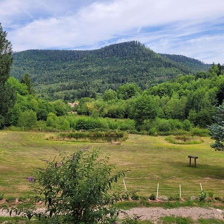 Gite Forestier Du Moulin Raon-sur-Plaine Extérieur photo