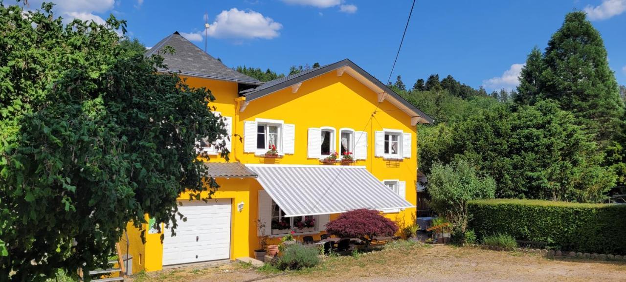 Gite Forestier Du Moulin Raon-sur-Plaine Extérieur photo