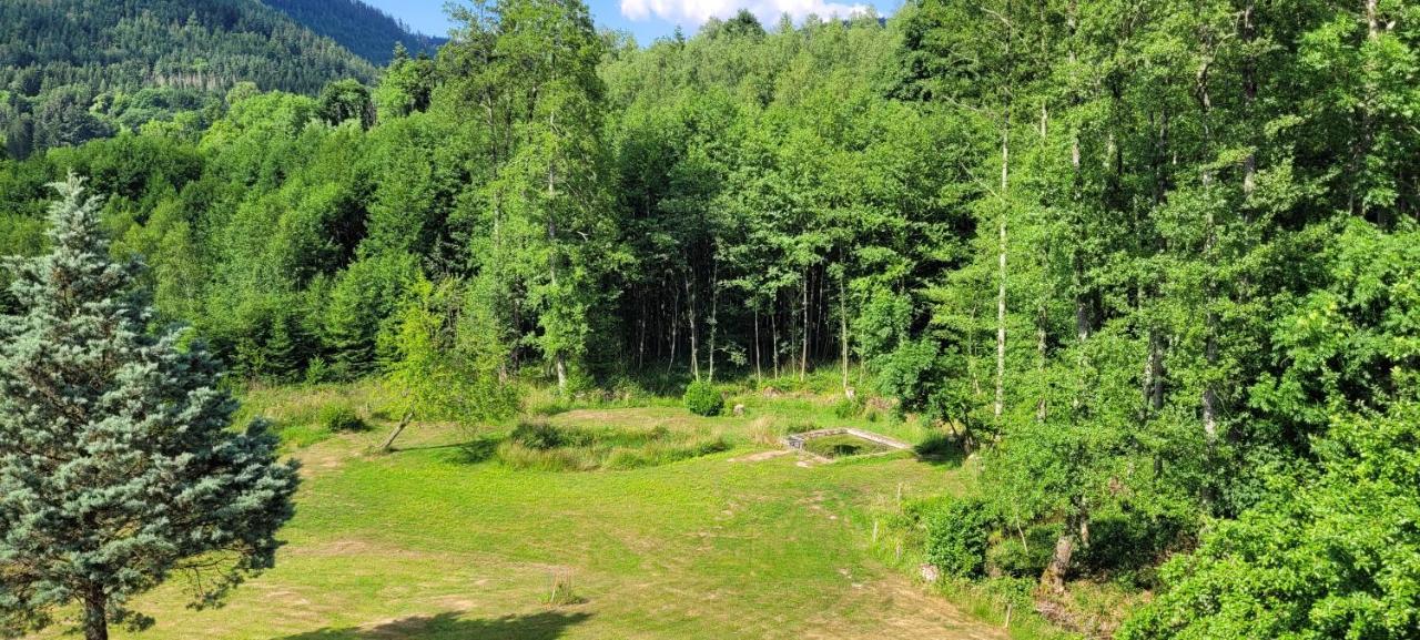 Gite Forestier Du Moulin Raon-sur-Plaine Extérieur photo