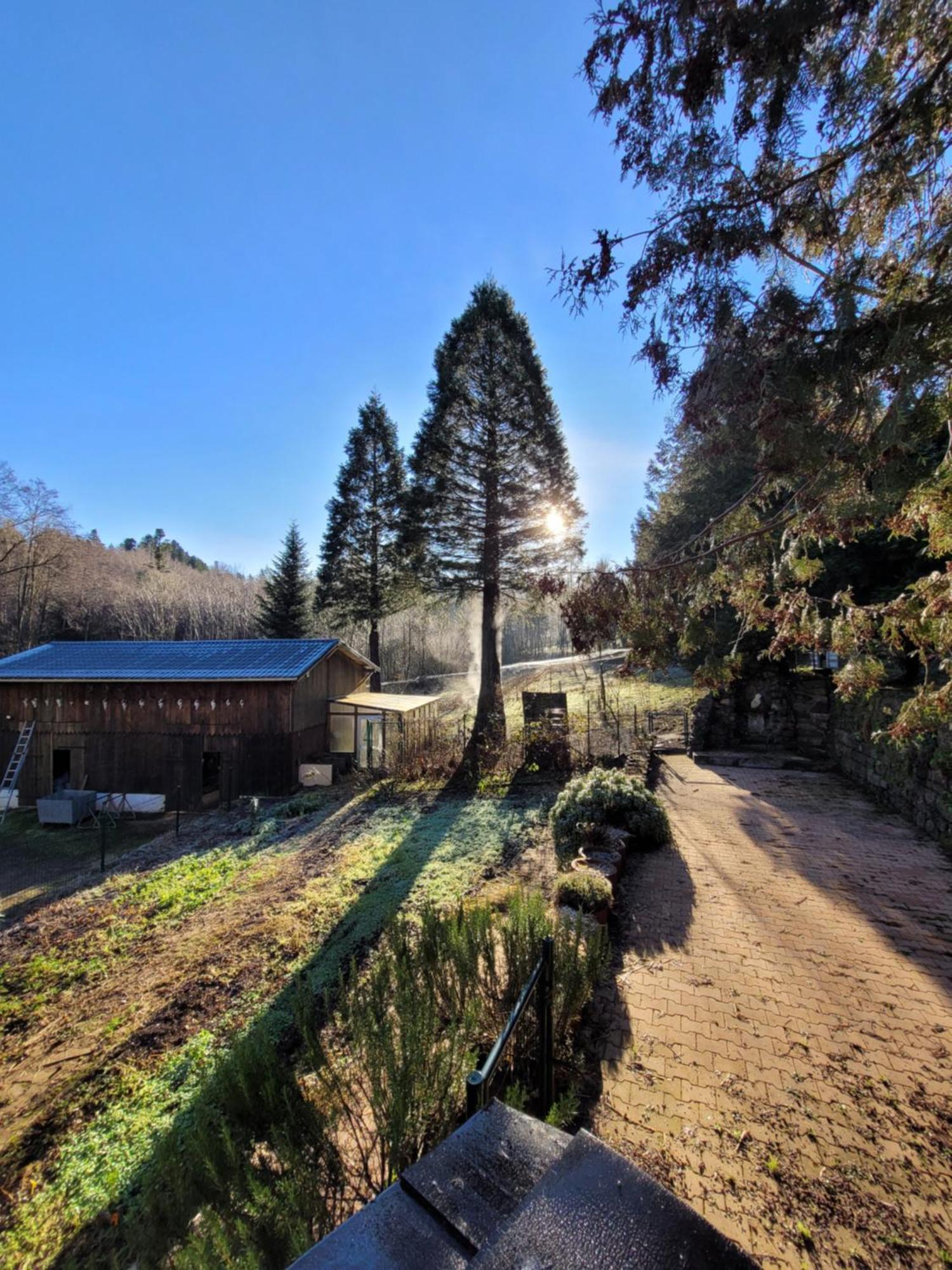 Gite Forestier Du Moulin Raon-sur-Plaine Extérieur photo