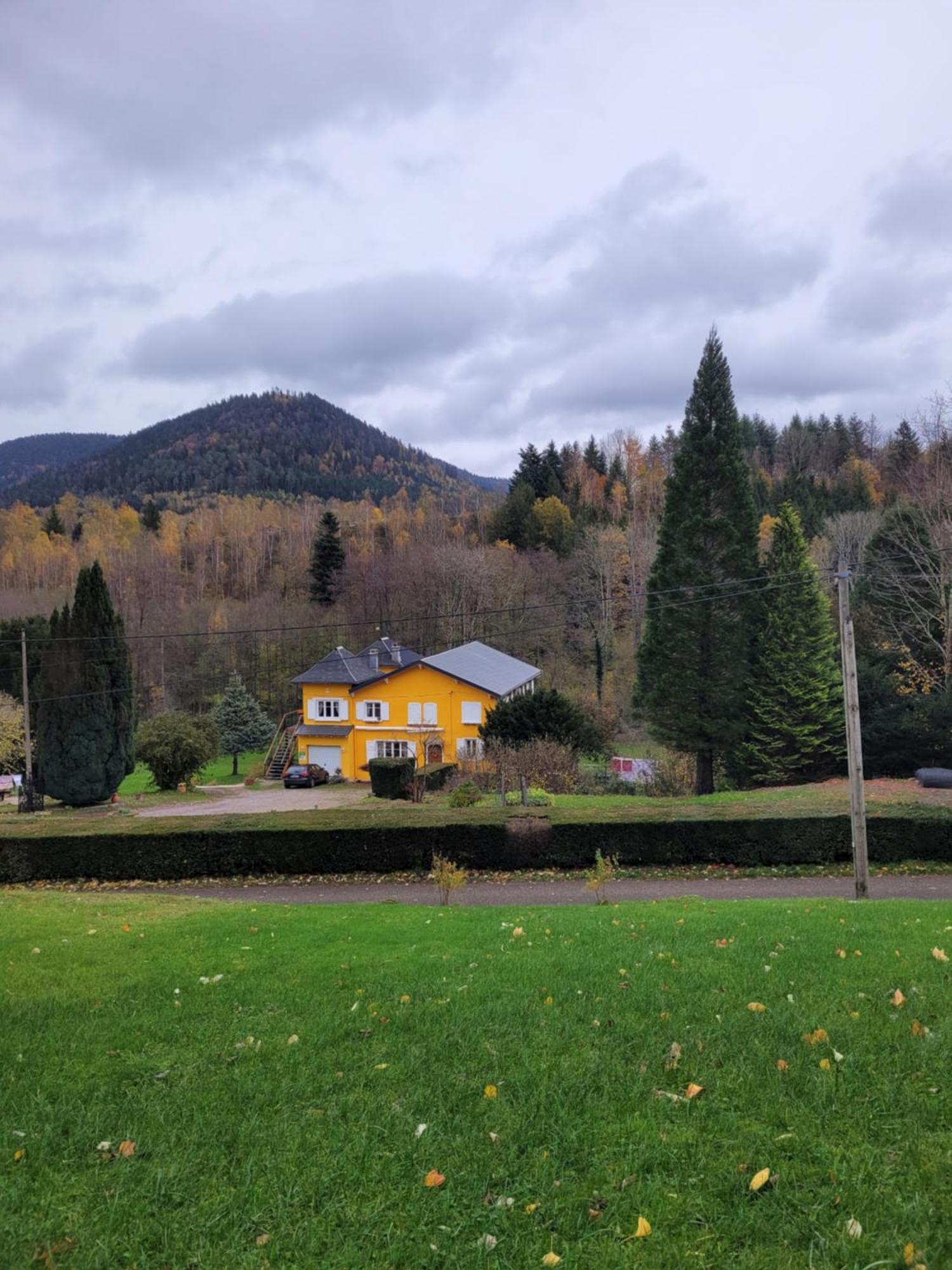 Gite Forestier Du Moulin Raon-sur-Plaine Extérieur photo