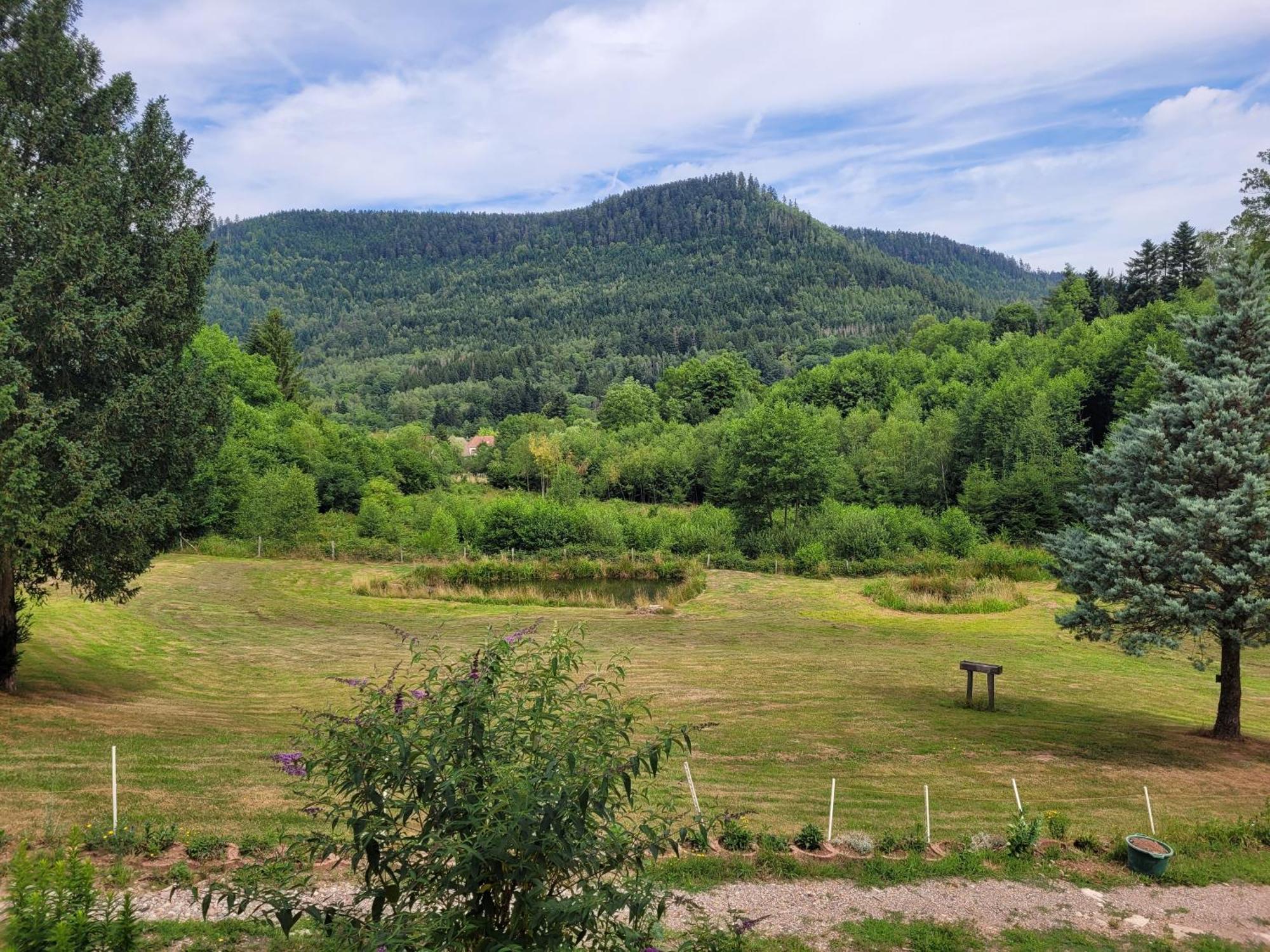 Gite Forestier Du Moulin Raon-sur-Plaine Extérieur photo