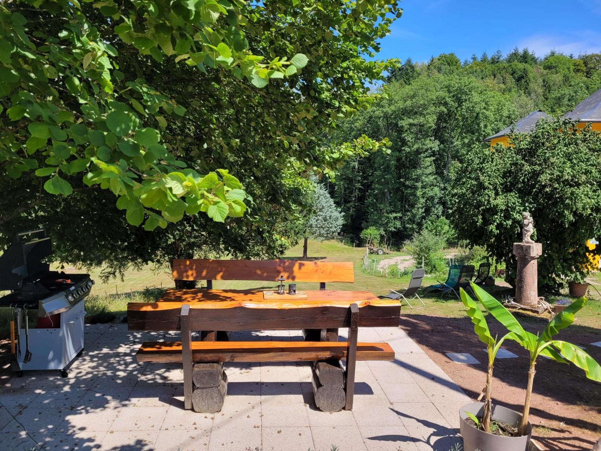 Gite Forestier Du Moulin Raon-sur-Plaine Extérieur photo