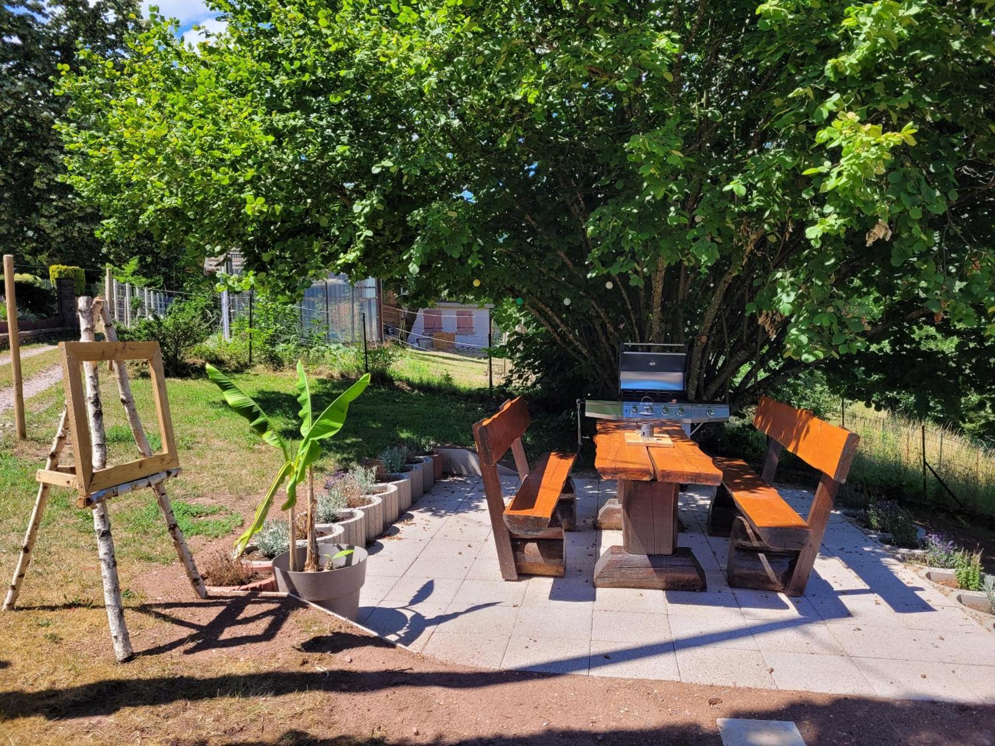 Gite Forestier Du Moulin Raon-sur-Plaine Extérieur photo