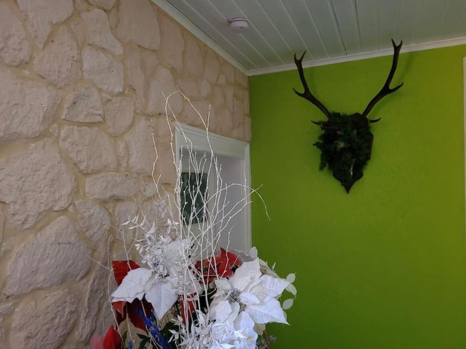 Gite Forestier Du Moulin Raon-sur-Plaine Extérieur photo