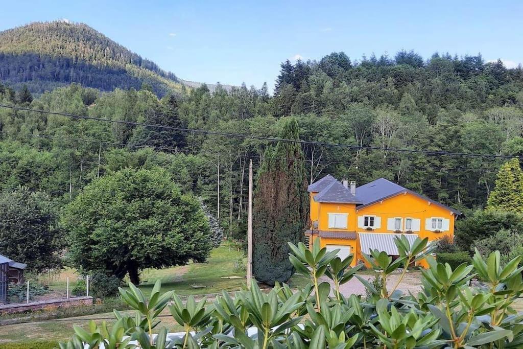 Gite Forestier Du Moulin Raon-sur-Plaine Extérieur photo