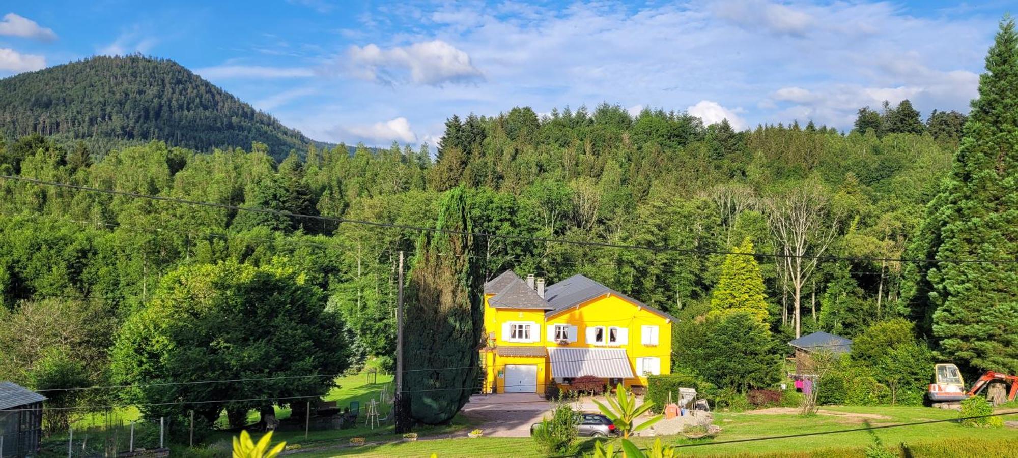 Gite Forestier Du Moulin Raon-sur-Plaine Extérieur photo