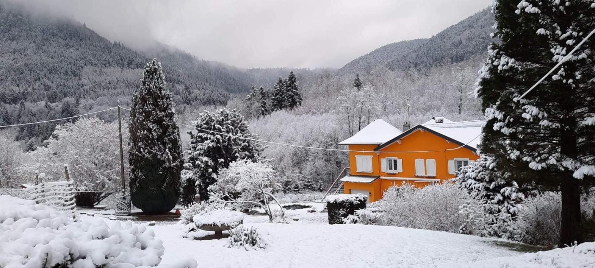 Gite Forestier Du Moulin Raon-sur-Plaine Extérieur photo