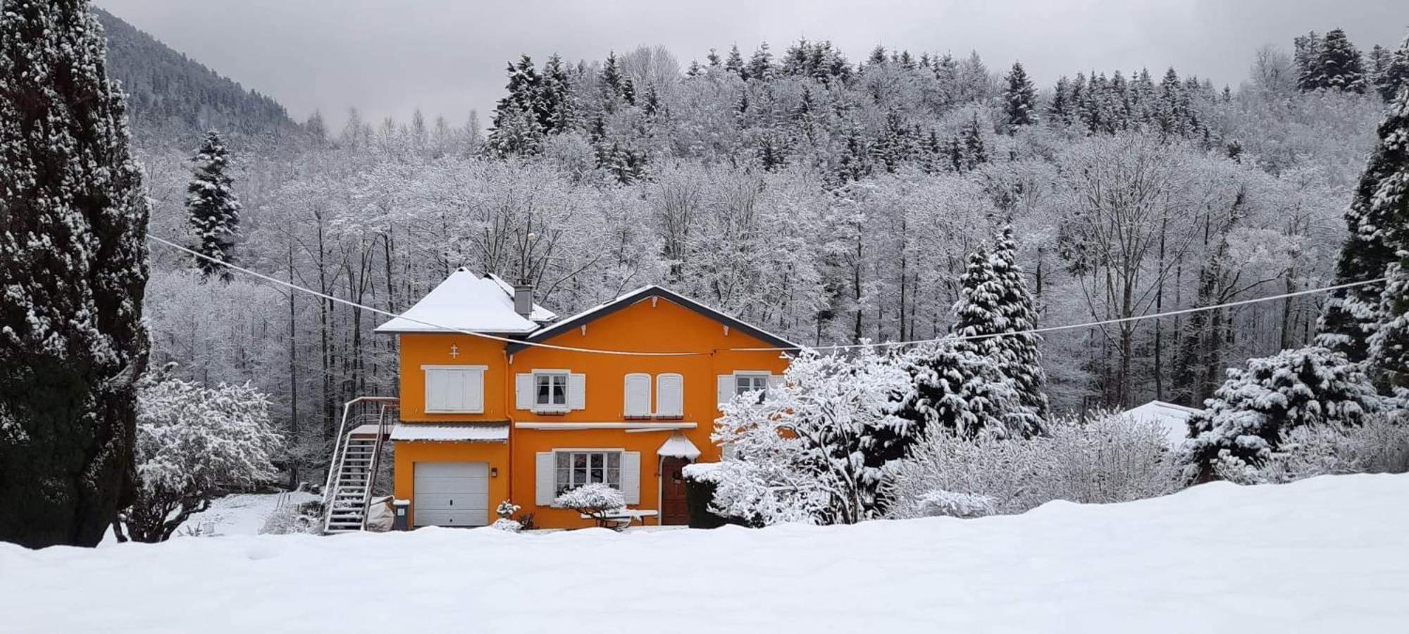 Gite Forestier Du Moulin Raon-sur-Plaine Extérieur photo